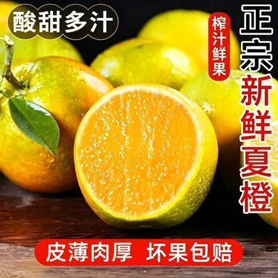【薄皮夏橙】正宗秭归夏橙5/9斤应季时令新鲜水果皮薄酸甜榨汁橙优惠商品图片