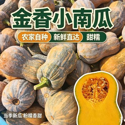 当季头茬新鲜河南金香花生小南瓜香甜孕妇宝宝甜糯辅食现摘现发