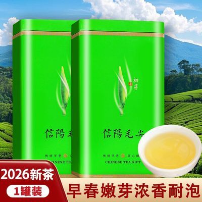 2026河南信阳毛尖正宗明前春季新茶茶叶雨前嫩芽浓香信阳毛尖绿茶