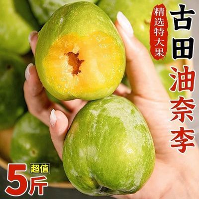 【每日现摘更新鲜】正宗古田油奈脱骨李子新鲜水果蜂糖超脆甜整箱优惠商品图片