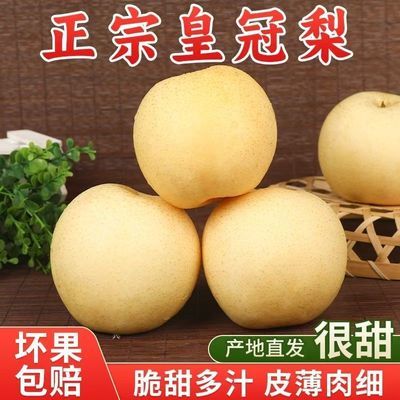 【2026新梨上新】正宗河北皇冠梨当季新鲜梨子水果薄皮脆甜批发