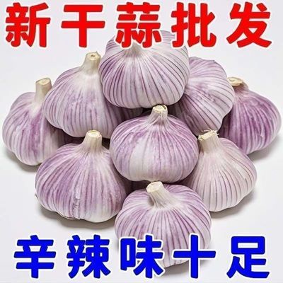 【带箱5斤】新干蒜自然晾晒大白蒜蒜香十足商用便宜
