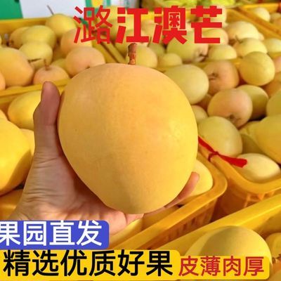 云南新鲜澳芒彩虹芒果特大芒果香甜大果当季水果核薄肉厚应季水果