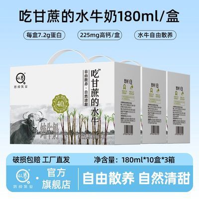 7月认养吃甘蔗的水牛奶180ml*10盒*3箱纯牛奶成人学生营养早餐奶优惠商品图片