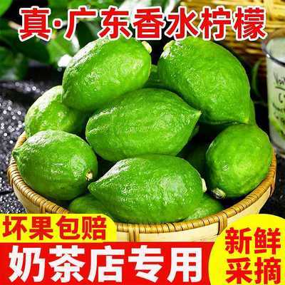 【正宗无籽香柠】广东香水柠檬青柠檬奶茶店柠檬茶专用一级现摘鲜