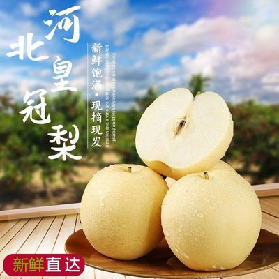 【2026头茬果】正宗河北皇冠梨子薄皮当季新鲜水果清脆多汁一整箱优惠商品图片