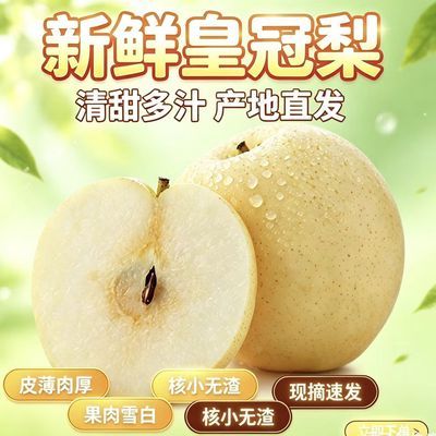 【福利冲】正宗河北皇冠梨新鲜薄皮当季水果梨子一整箱梨源头直发