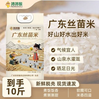 沛沛猴【广东丝苗米】10斤真空包装晚稻新米优惠商品图片