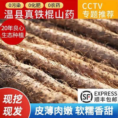 新鲜现挖正宗河南焦作温县特产铁棍山药当季垆土山药正宗怀山药