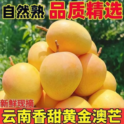 正宗云南澳芒新鲜当季彩虹苹果芒当凯特季大青芒果水果批发整箱