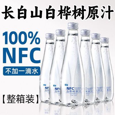 100%白桦树汁天然长白山nfc桦树原汁原液0添加整箱饮品330ml/瓶优惠商品图片