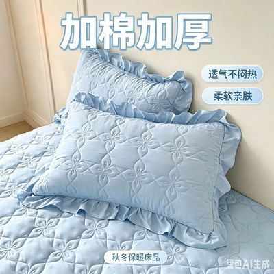 2026新款公主纯色加厚夹棉单人枕头一对荷叶花边48*74cm枕头套