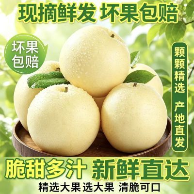 【正宗皇冠梨】新鲜水果青梨现摘甄选当季鲜果老树梨子批发