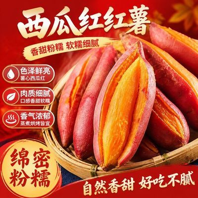 河南沙地西瓜红红薯宝宝薯小个 新鲜现挖蜜薯粉面甜农家自种番薯