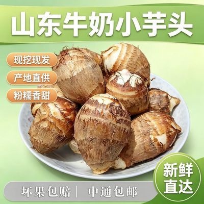 特产精选现挖牛奶小芋头软糯奶香5斤新鲜当季农家自种香甜可口优惠商品图片