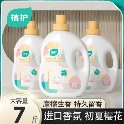香水洗衣液香味持久留香浓缩香氛洗衣液家用整箱大瓶装去污樱花香优惠商品图片