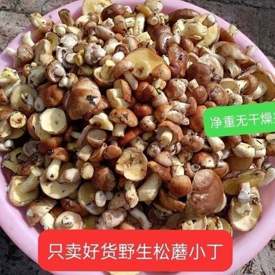 东北野生松树磨年团子撒盐发货