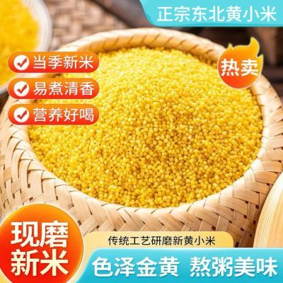 2斤4斤新鲜黄小米新米农家小米粥五谷杂粮食用煮粥米月子米