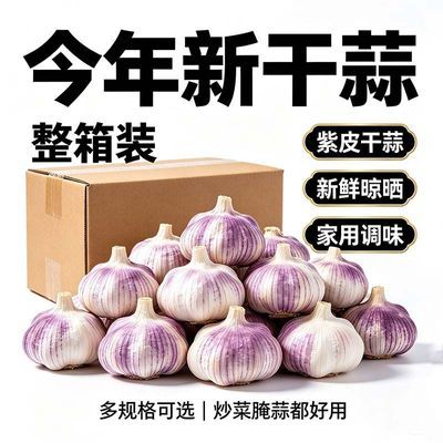 2026新干蒜紫白皮大蒜头农家自种足干蒜耐存放腌糖蒜炒菜家用实惠优惠商品图片
