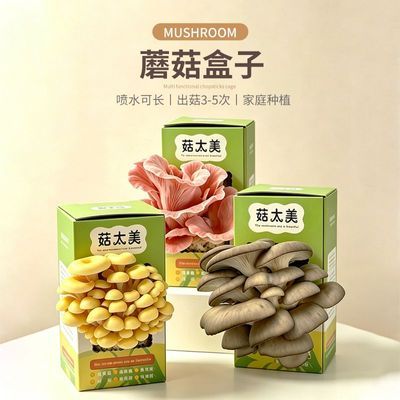 儿童趣味种植可吃蘑菇种植包可食用家庭菌菇种植盒优惠商品图片