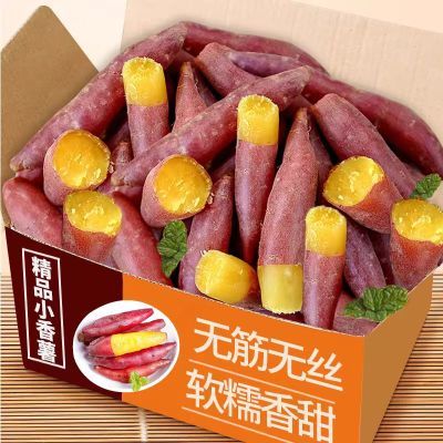 正宗天目小香薯黄心香甜高山板栗新鲜现挖手指红薯番薯地瓜批发