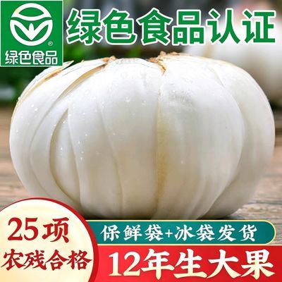 新鲜现挖独头皇特大兰州新鲜甜百合肉质厚大真空包装优惠商品图片