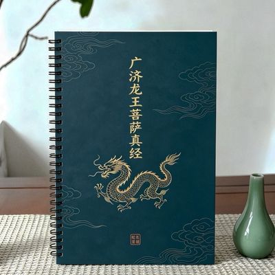广济龙王菩萨真经练字帖原文拼音硬笔楷书描红本优惠商品图片
