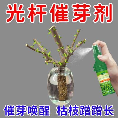 专治不发芽】老桩催芽剂促芽僵苗快速发新芽防黄叶促花营养专用肥