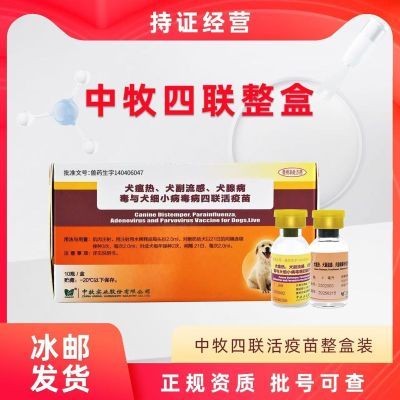 10/50针中牧犬四联疫苗养殖场小狗预防细小腺副流感瘟热病毒整盒