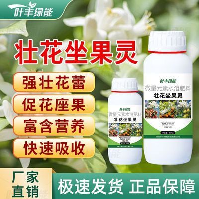 叶丰绿能壮花座果灵催花促花专用水溶肥提高坐果百香果果树通用肥