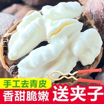 【送夹子】2026云南新鲜核桃湿核桃去青皮生核桃薄皮嫩新黑桃批发