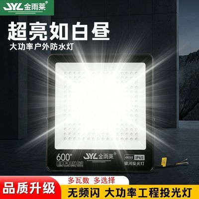 【金雨莱】led投光灯户外防水高亮大面积照明工厂庭院探照灯大功率