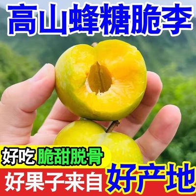 脆甜】正宗脱骨蜂糖李当季新鲜水果李子脆甜脱骨李蜂蜜李整箱批发