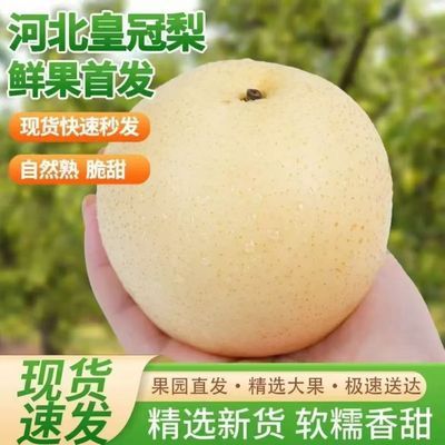 河北皇冠梨当季新鲜脆甜鲜果薄皮梨子现摘脆甜多汁整箱批发包邮优惠商品图片