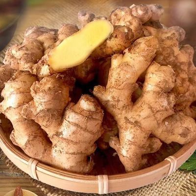 贵州高山二黄姜高海拔生姜老姜现挖优质姜高原黄姜农家月子姜批发