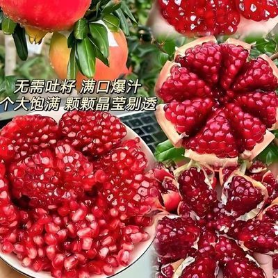 四川会理突尼斯软籽石榴红石榴新鲜采摘当季大果送礼必备红心无籽优惠商品图片