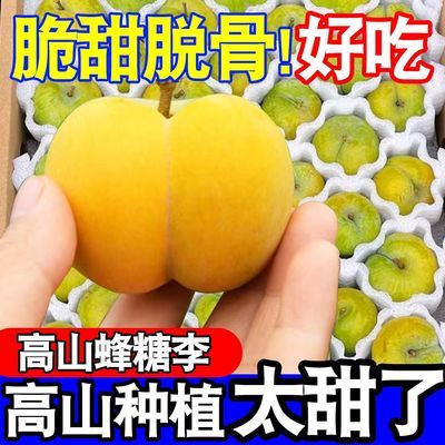 爆甜好吃】正宗蜂糖李子当季新鲜水果应季四川脆甜脱骨李批发整箱