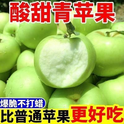 【今年新苹果】现摘头茬酸甜青苹果薄皮新鲜水果孕妇当季小苹果
