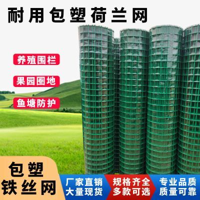 防锈铁丝网围栏养鸡养殖网栅栏防护网菜园圈地网格护栏隔离荷兰网优惠商品图片