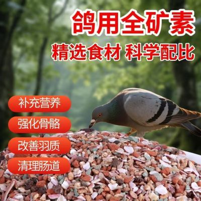 鸽子专用全矿素红矿石贝壳精品信鸽赛鸽保健砂鸽粮增强体质混合