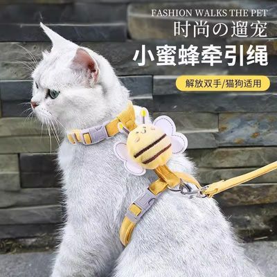 猫咪牵引绳防挣脱外出专用溜猫背心式胸背带小型犬狗狗防跑遛猫绳
