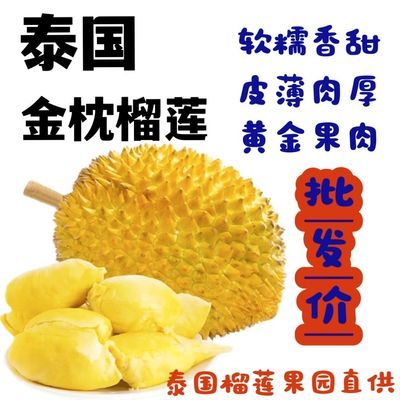 【泰国金枕】正宗泰国金枕榴莲新鲜巴掌应季带壳整个批发产地直供