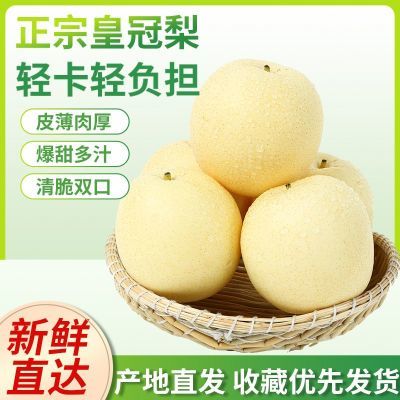 【正宗河北皇冠梨】皮薄润肺化痰新鲜梨子应季水果整箱产地直发