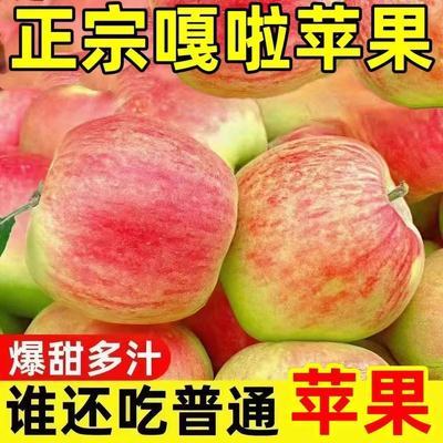 现货】头茬嘎啦苹果现摘新鲜水果当季孕妇红富士脆甜整箱批发