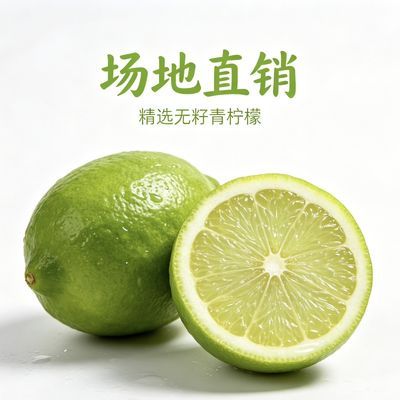 福建塔西香水塔希提专用精选柠檬新鲜鲜果薄皮多汁奶茶水果无籽