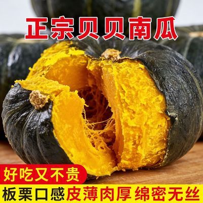正宗贝贝南瓜板栗味老南瓜婴儿辅食老南瓜粉糯香甜新鲜蔬菜包邮