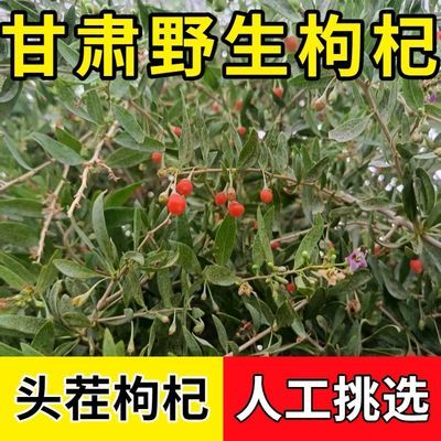 甘肃张掖红枸杞干货戈壁自然生长枸杞子农家日晒泡水煲汤食材