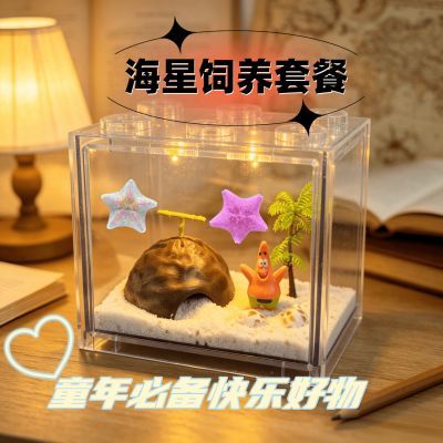 海星活宠饲养套装儿童桌面观赏迷你派大星6到10岁懒人宠物养殖