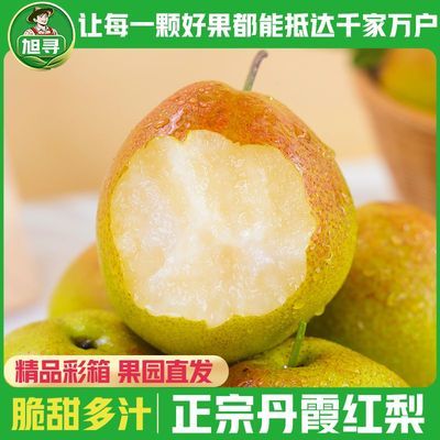 旭寻山西丹霞红梨香梨净重5斤单果150g 9元 - 线报酷