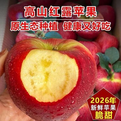 云南昭通26年头茬红露苹果果园新鲜现摘脆甜多汁产地直发冰糖心优惠商品图片